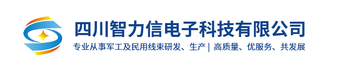 四川智力信电子科技有限公司