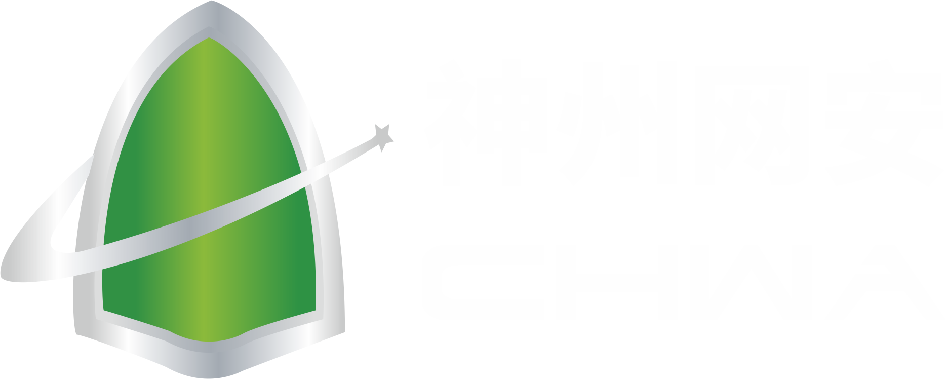 神州网安