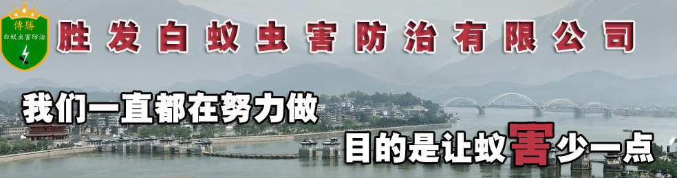 潮州白蚁防治,潮州白蚁预防,潮州除四害