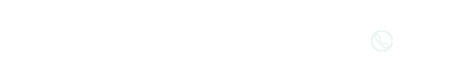 网站首页