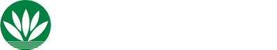 南京绿植租赁