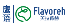 网站首页