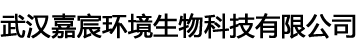 福布斯