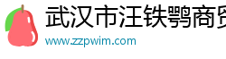 武汉市汪铁鹗商贸有限公司