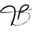 上海天帛纺织品有限公司