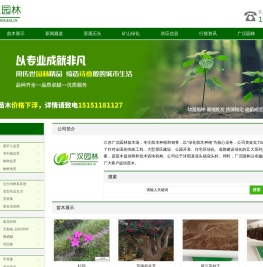 绿化苗木