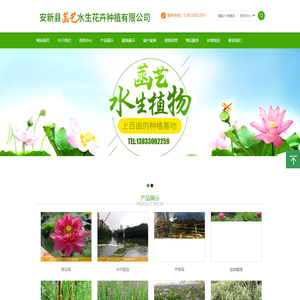 安新县菡艺水生花卉种植有限公司