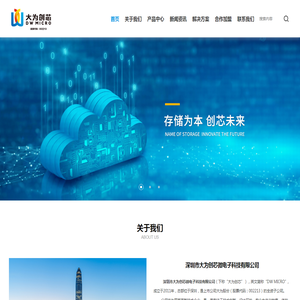 深圳市大为创芯微电子科技有限公司