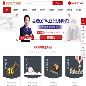 知识产权诉讼