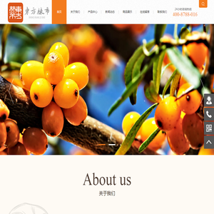 东方棘市