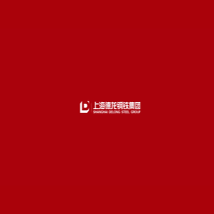 上海德龙钢铁集团有限公司