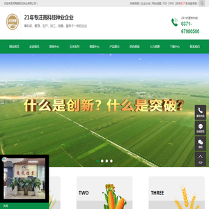 玉米种子