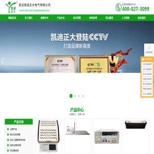 武汉凯迪正大