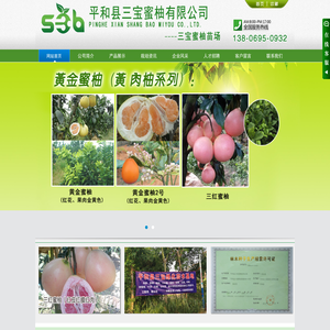 福建省平和县三宝蜜柚有限公司