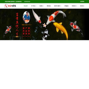 锦鲤批发销售