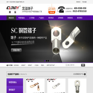 电缆线端头,电线接头,接线端子厂家,绝缘端子批发,铜接头供应商【龙溢端子】