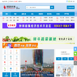 胡集阳光网