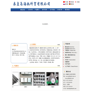 旋转扣鞋带FITGO自动系带系统