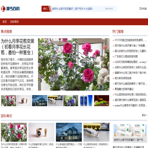 潮丐百科