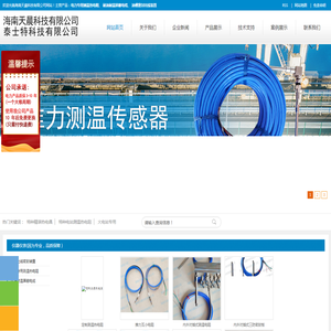 海南天晨科技有限公司