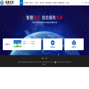 安徽蓝盾光电子股份有限公司