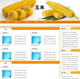 葫芦