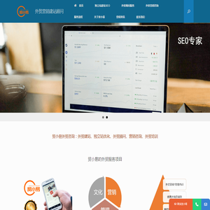 外贸营销建站顾问咨询